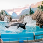 Vacation Homes Near SeaWorld Orlando